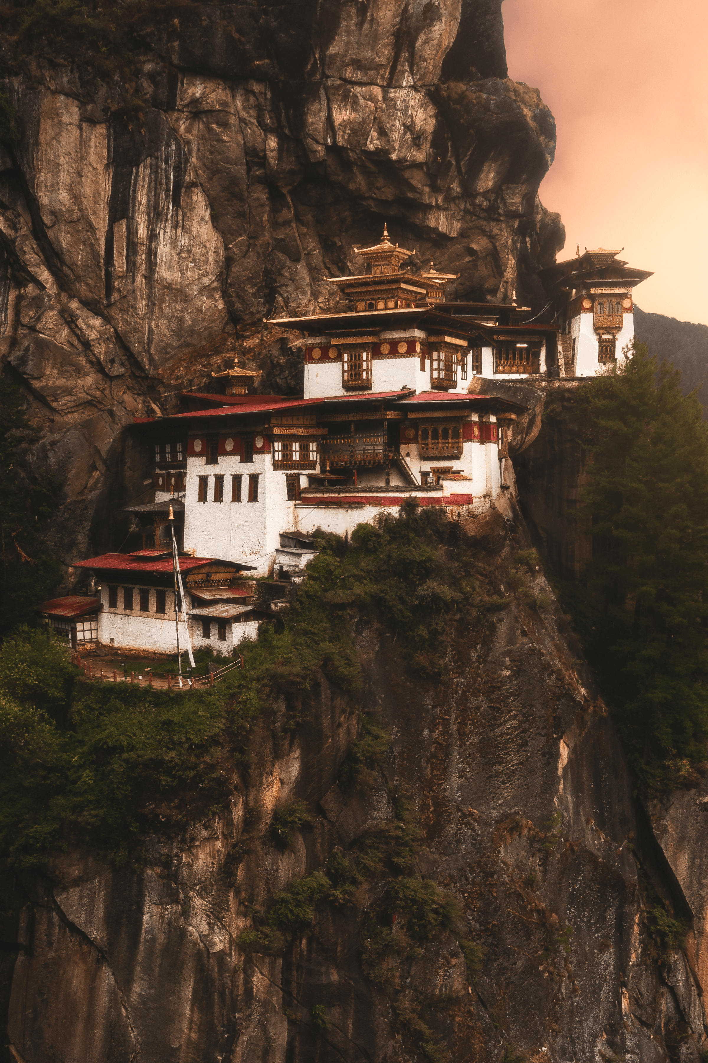 tigers-nest